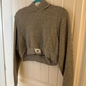 ALO Yoga Gray Cropped Hoodie
